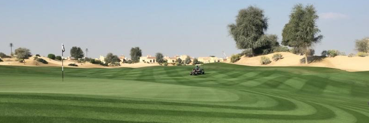 POLYON®: The perfect product for overseeding<br data-mce-bogus=